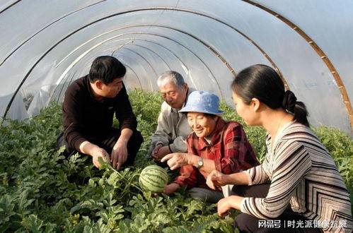 老奶奶吃瓜视频,趣味横生的晚年生活瞬间