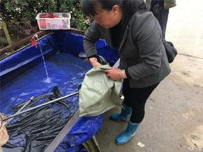 吃瓜群众装货回家视频,网友直呼“太接地气”